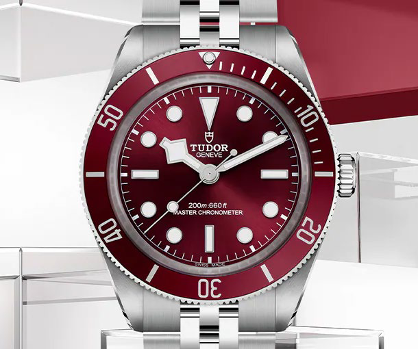 TUDOR