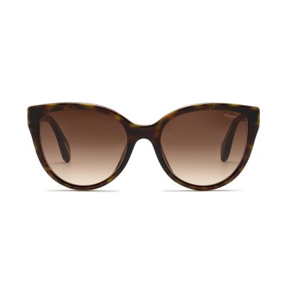 Chopard Chopard C Logo Sunglasses in Havana Brown