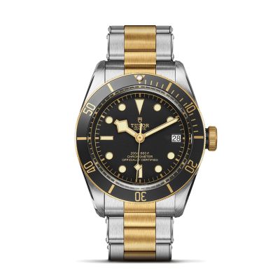 Tudor TUDOR Black Bay S&G 41mm Black Dial Watch