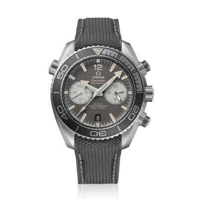 Omega OMEGA Planet Ocean 600m Grey Dial Watch