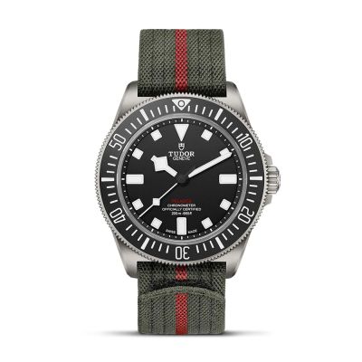Tudor TUDOR Pelagos FXD 42mm Titanium Black Dial